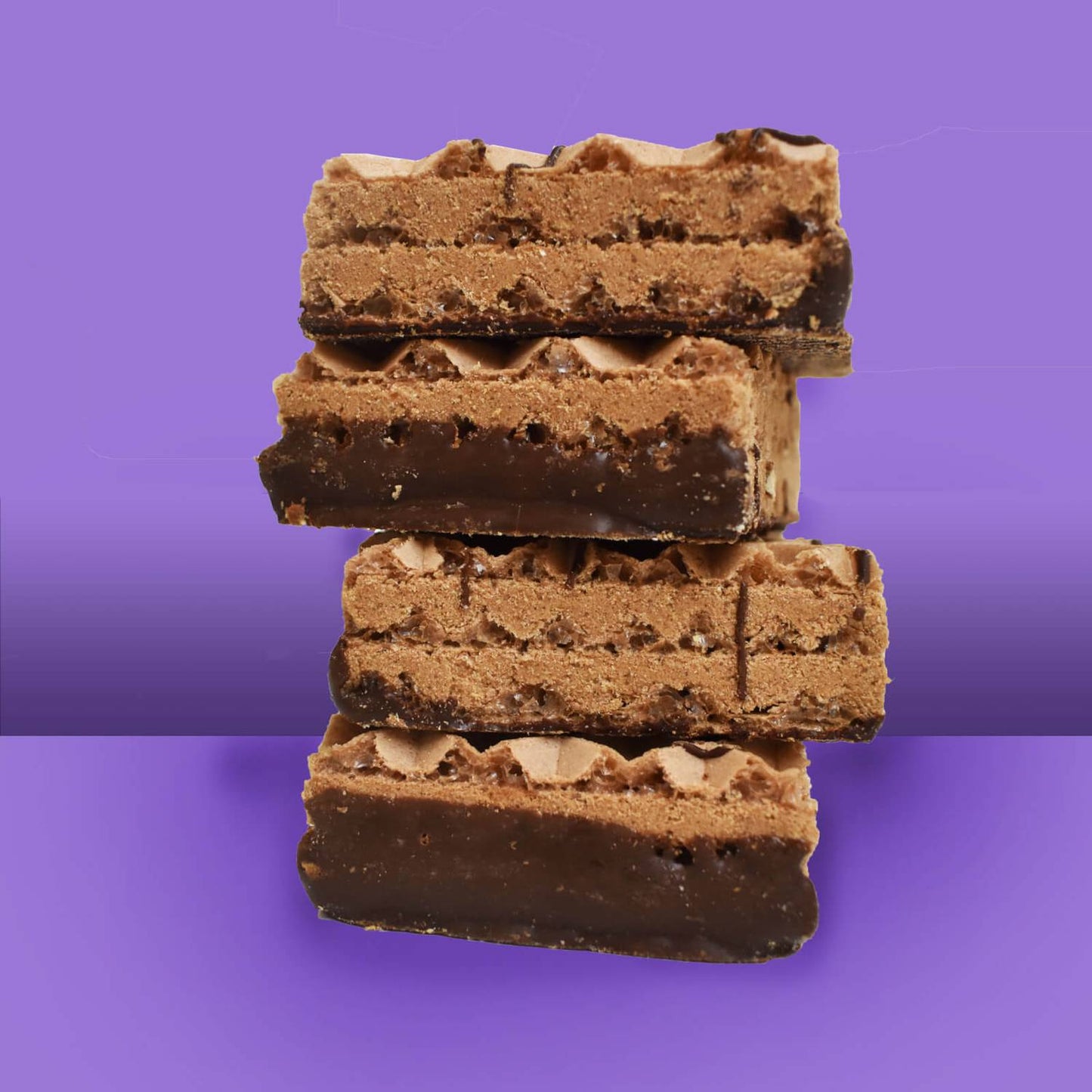 Protein wafers box of 10